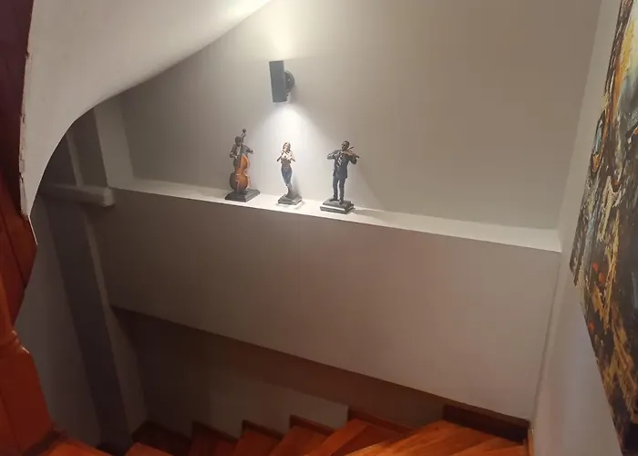 Disa - Elit Istanbul Istanbul