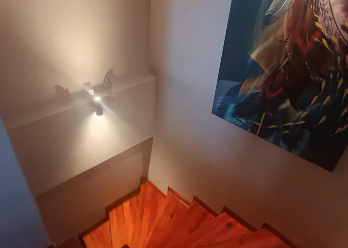 Disa - Elit Istanbul *