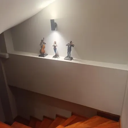 Disa - Elit Istanbul イスタンブール