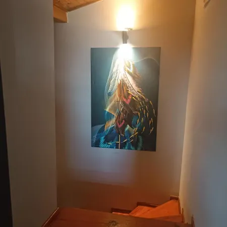 Disa - Elit Istanbul *