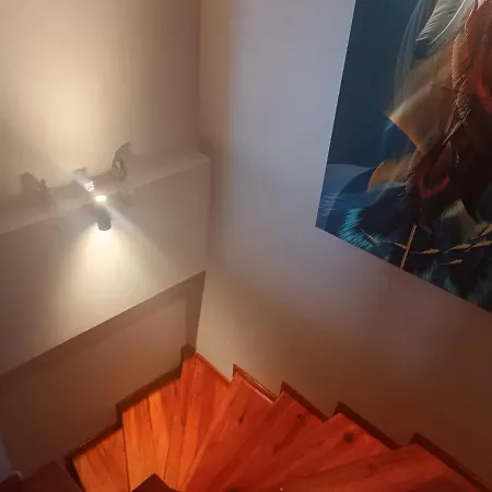 Disa - Elit Istanbul *