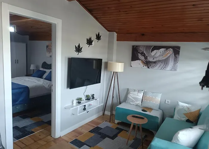 Disa - Elit Istanbul Διαμέρισμα